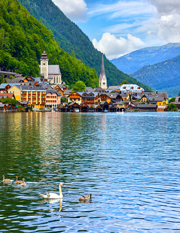 Hallstatt, Austria. View at Hallstattersee Lake and Alps mountains summits. White swan birds near the dock. Ancient houses lake banks with chapel. Summer day. Blue sky clouds.