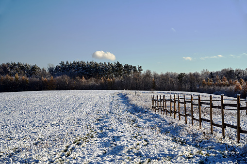 Rural landscape with snow-covered field, wooden fence and forest during winter, Poland