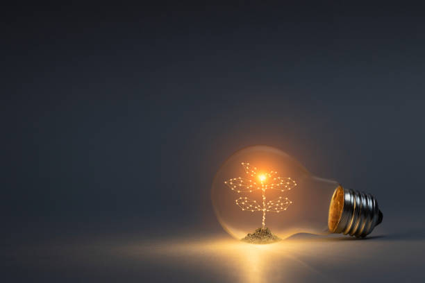 Classic light bulb with new life plant inside on dark background. Green energy concept. This file is cleaned, and retouched.