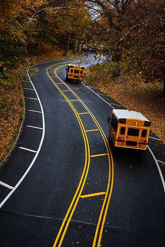 School buses on country road in rural Upstate New York in an Autumn day