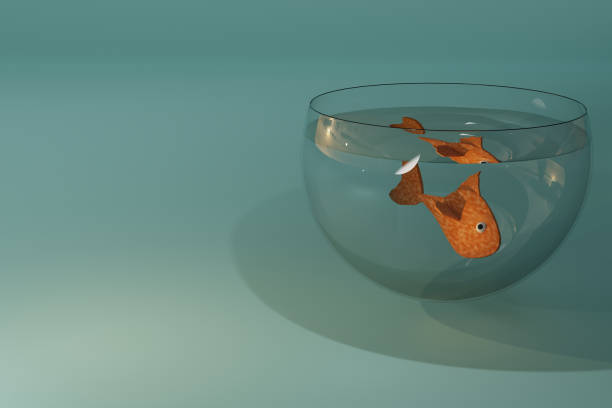 istock 3d render of fish in small bowl 1820248079