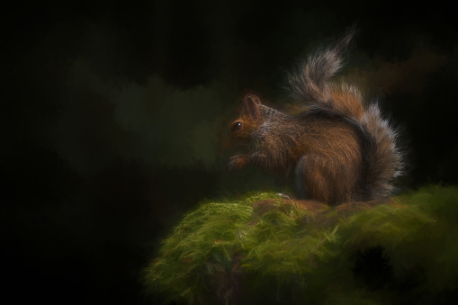 A digital illustration of a Grey Squirrel, Sciurus carolinensis sitting on a moss covered wall feeding.
