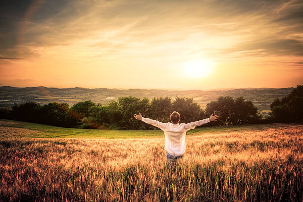 free homem com os braços abertos no campo de trigo no pôr do sol - solitude morning nature rural scene - fotografias e filmes do acervo