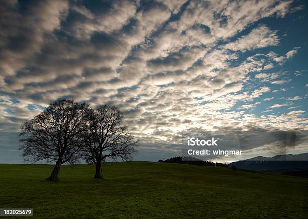 Vehemente Clima Foto de stock y más banco de imágenes de Agricultura - Agricultura, Aire libre, Ajardinado