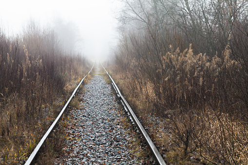 An empty old railway goes through a foggy forest, background photo