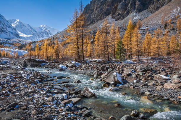 istock Aktru glacier, Altai Mountains, Russia. 1820261917