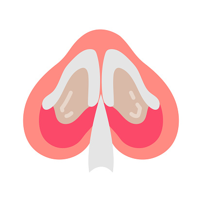 Nasal Septal icon in vector. Logotype