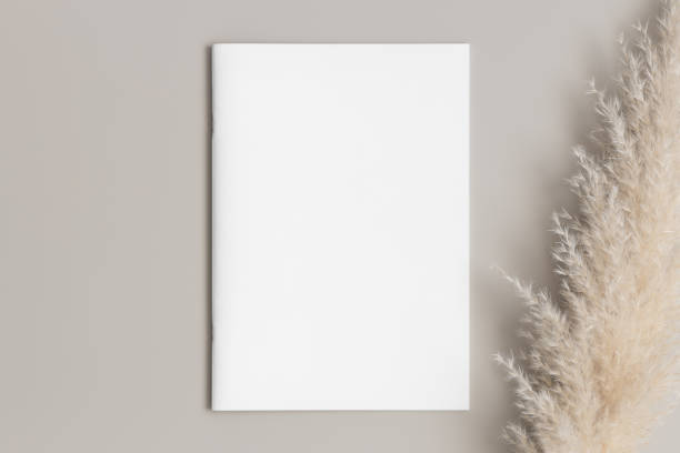 istock Magazine mockup with a pampas on the beige table. 1820267811