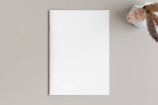 Magazine mockup with a pampas on the beige table.