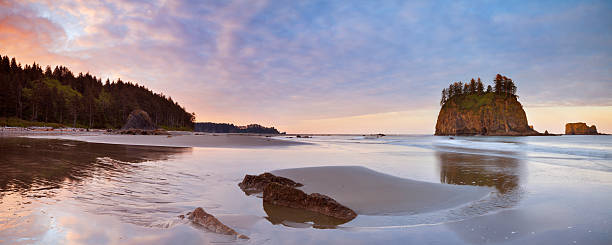 Sunrise on Second Beach on the Olympic Peninsula, Washington, USA Sunrise on Second Beach near La Push along the Pacific coast on the Olympic Peninsula, Washington, USA. A seamlessly stitched panoramic image. washington state coast stock pictures, royalty-free photos & images