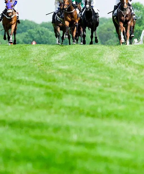 Head-on shot of horses coming to the line during a steeplechase race. 