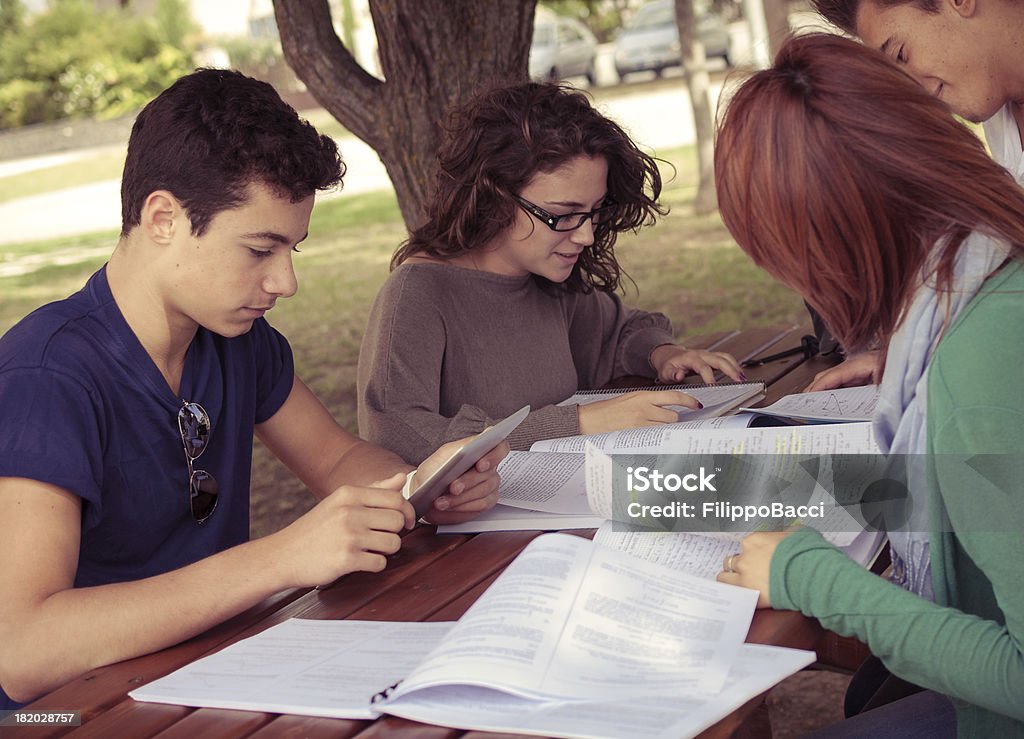 Group of friends studying outdoors Four friends studying outdoor with some books and a tablet. Focus on the boy holding the pc-tablet. Elaborated image for the vintage mood. 14-15 Years Stock Photo