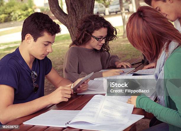 Group Of Friends Studying Outdoors Stock Photo - Download Image Now - 14-15 Years, 16-17 Years, 18-19 Years