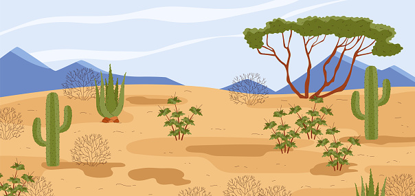 Desert landscape with sand dunes and cacti. Desert Mexican nature background, panoramic view layout or scenery for games design, flat vector illustration.