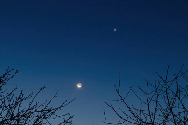 Crescent Moon and star in the morning sky above the branches of trees without leaves stock photo