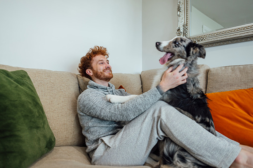 Full length side view of a young redhead man sitting on the sofa in his living room at his home in County Durham, England. He is playing with his pet dog, he's wearing casual clothing.\n\nVideo also available for this scenario.