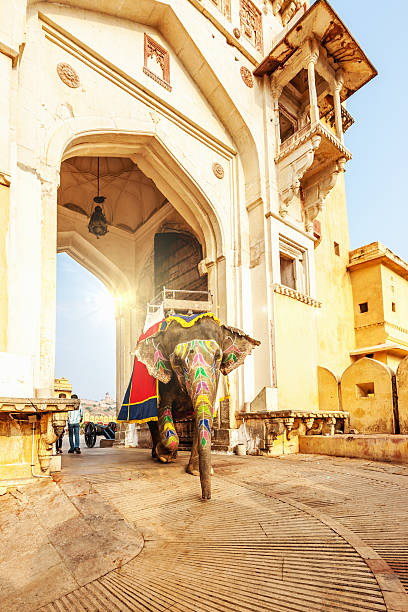 istock Amber Palace Jaipur Indian Elephant 182030428