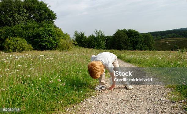 하위 게임하기 만들진 Heathland 공간 4-5세에 대한 스톡 사진 및 기타 이미지 - 4-5세, 걷기, 검색