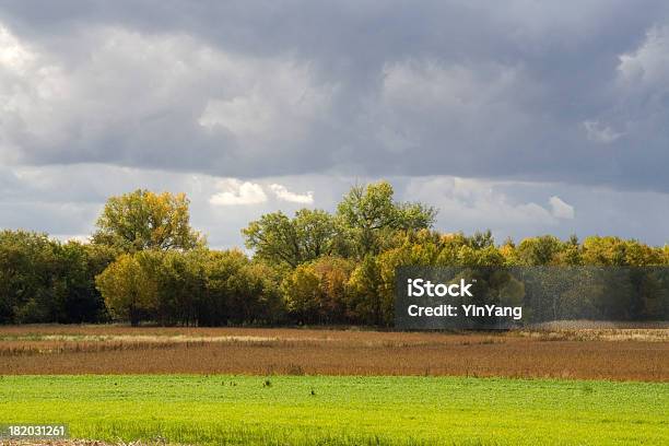 Approaching Storm Stock Photo - Download Image Now - Agricultural Field, Agriculture, Approaching