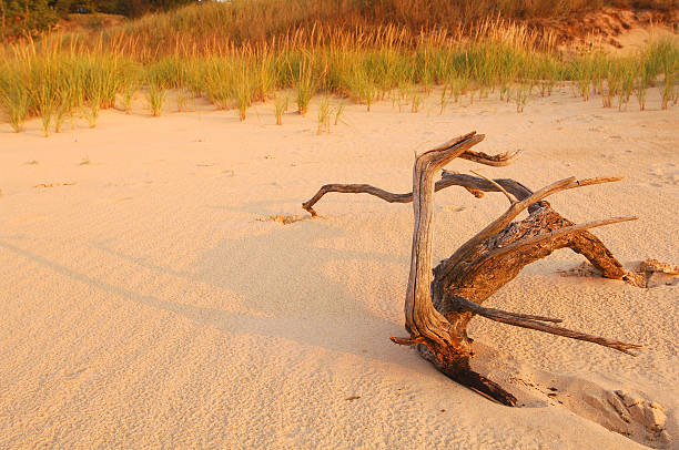 Dalla spiaggia al tramonto - foto stock