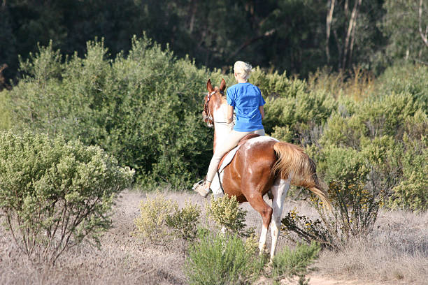 Blond Girl Riding Horse stock photo