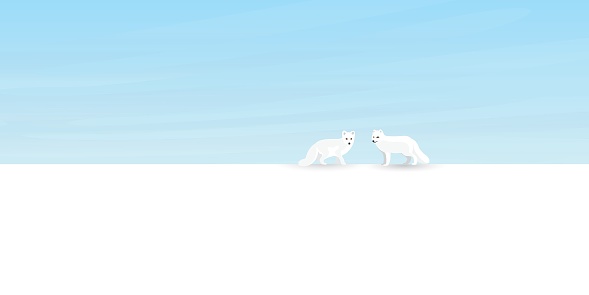 Arctic Fox family in snowland vector illustration. Snow landscape concept have blank space.