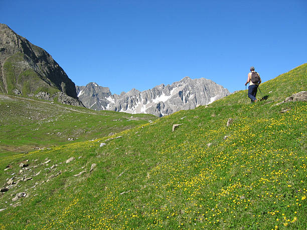 my 변화시켰음 - european alps mountain tannheimer silhouette 뉴스 사진 이미지