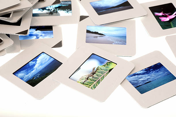 istock Slides with tropical images. 182032785