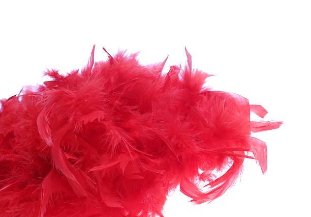 boa de plumes sur blanc rouge - feather boa feather isolated red photos et images de collection