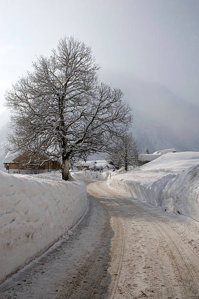 istock Country road at Mittelberg, Kleinwalsertal, Austria 182035452