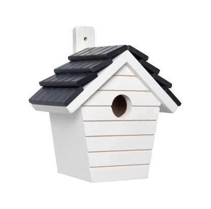 isolated white wooden bird box