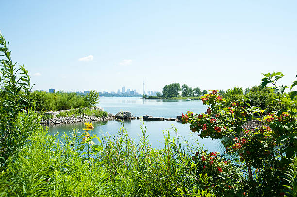istock City Across the Lake 182035552