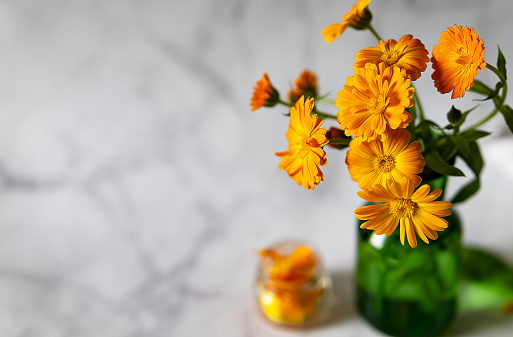 Front view of yellow empty bottle on white podium, fresh feverfew (tanacetum parthenium) on yellow background. Space for cosmetic product mockup. Feverfew remedies to treat migraines and anti aging