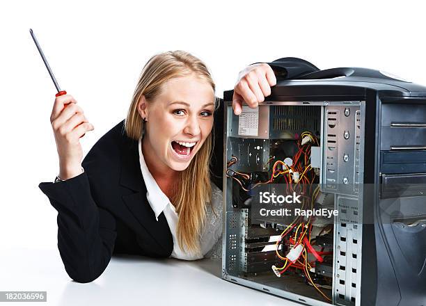 Triumphant Young Businesswoman Succeeds In Fixing Her Computer Stock Photo - Download Image Now