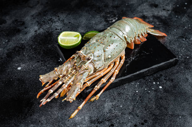 istock Raw Spiny lobster or sea crayfish on a marble board. Black background. Top view 1820397161