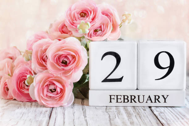 Leap Year February 29th Calendar Blocks with Pink Ranunculus stock photo