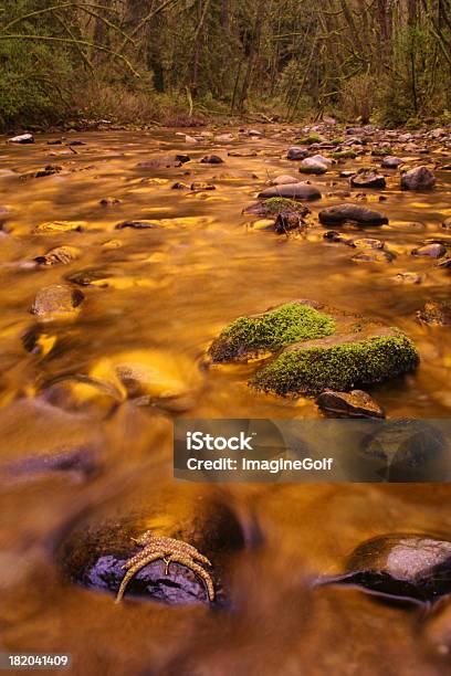 Flujo De La Puesta Del Sol Foto de stock y más banco de imágenes de Agua - Agua, Aislado, Alimentar