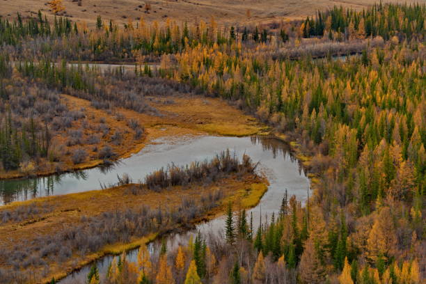 istock Zigzags of a mountain river 1820416049