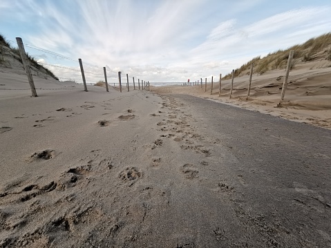 drag marks or tracks in wet sand at coast or beach