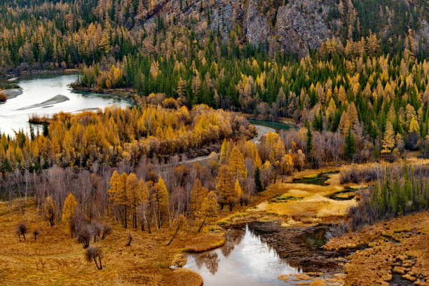 istock Zigzags of a mountain river 1820417190