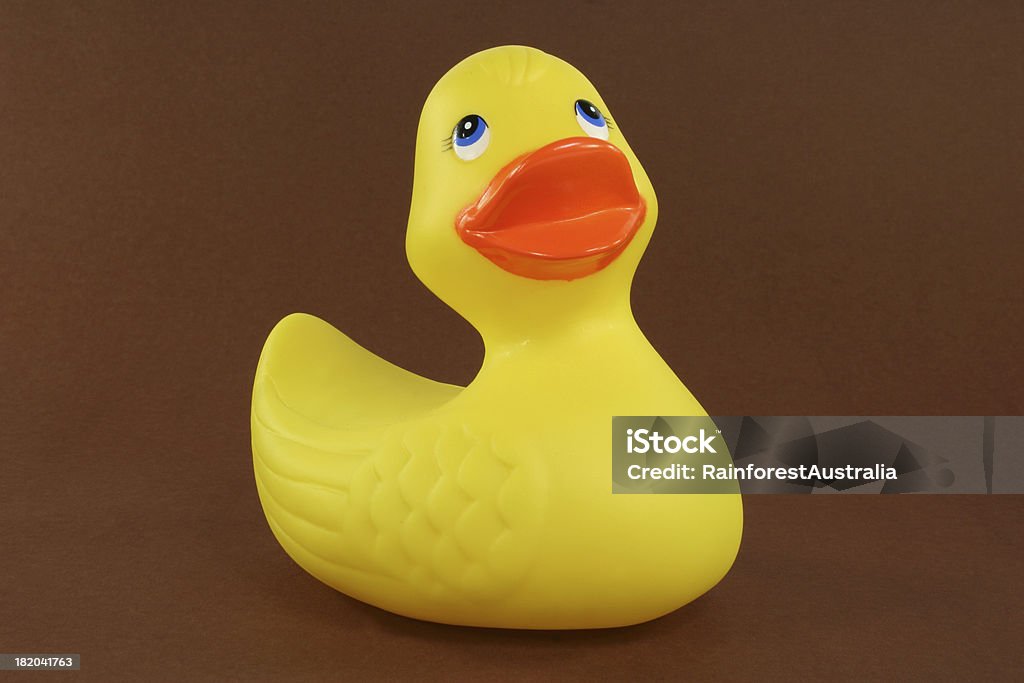 Canard en plastique - Photo de Canard en plastique libre de droits