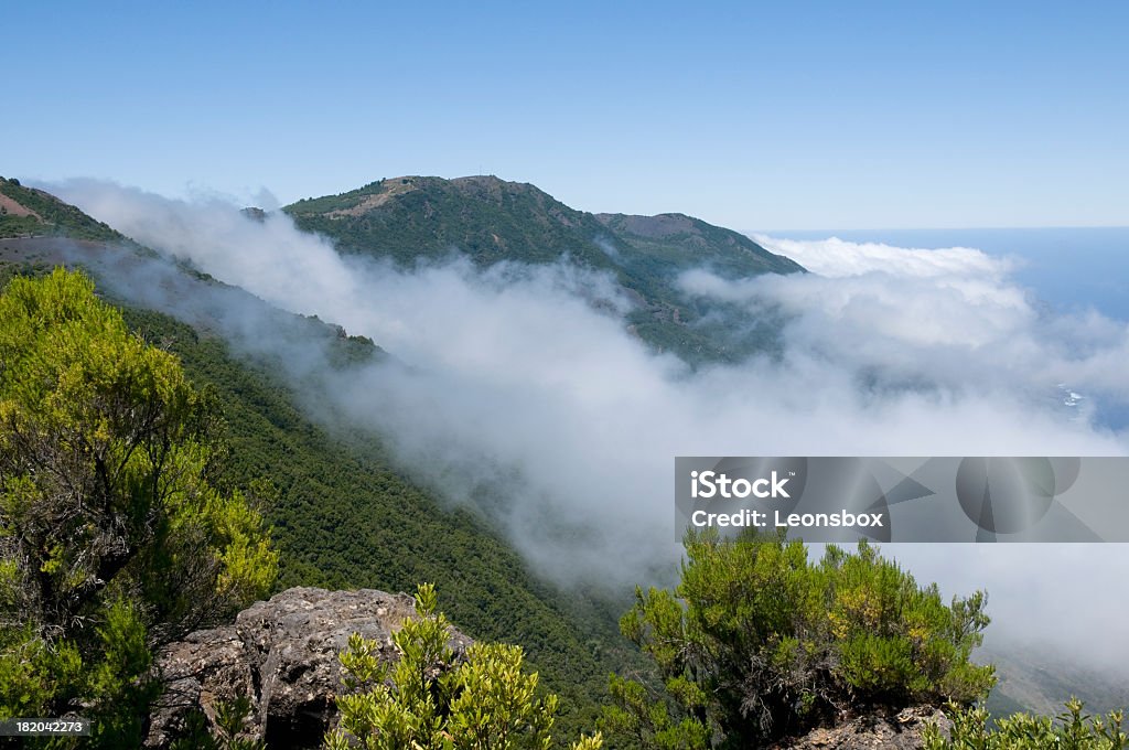 El Hierro - Foto de stock de Bosque pluvial libre de derechos