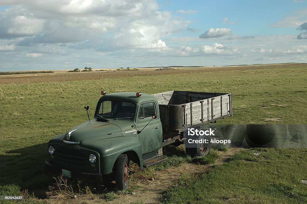 Abandonado en un pasto carro de grano - Foto de stock de Abandonado libre de derechos