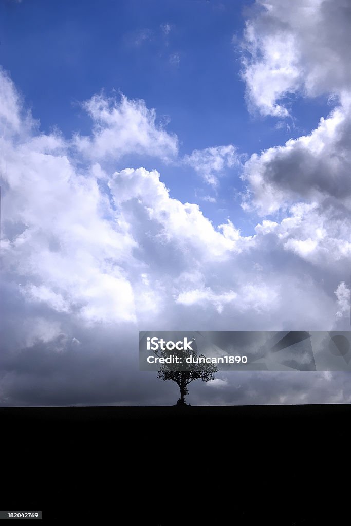 Lone tree - Foto de stock de Aire libre libre de derechos