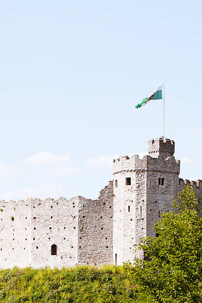 замок кардиффа - castle cardiff wales welsh culture стоковые фото и изображения