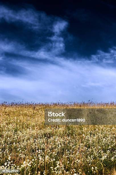 Prado Infinito - Fotografias de stock e mais imagens de Agricultura - Agricultura, Alqueive, Ao Ar Livre