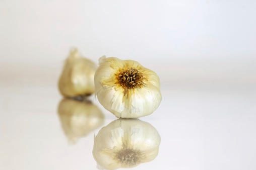 garlic reflective