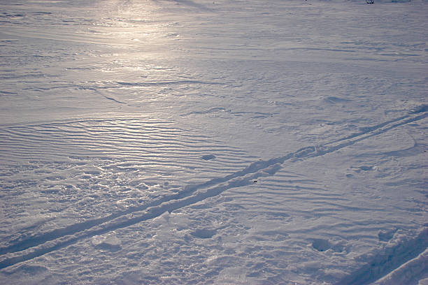 Ski tracks in the sun stock photo