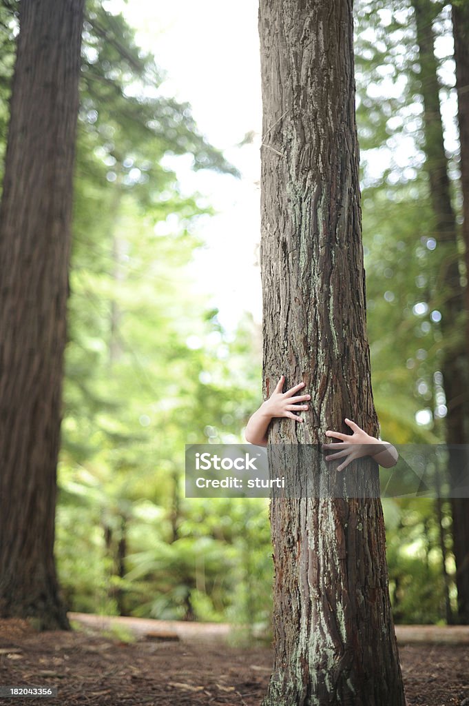 treehugger - Foto stock royalty-free di Abbracciare gli alberi