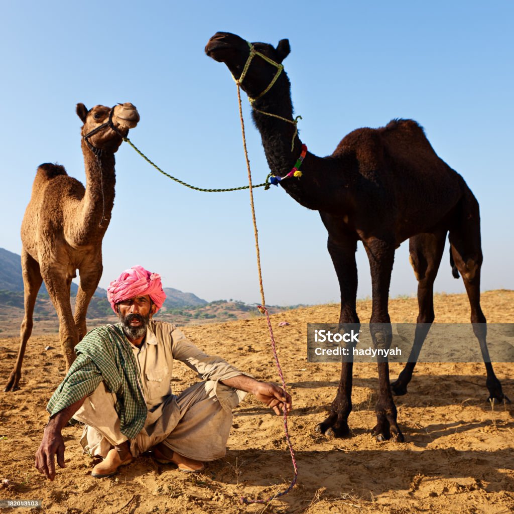 Indian man con camellos de Pushkar durante el festival en - Foto de stock de Acontecimiento libre de derechos